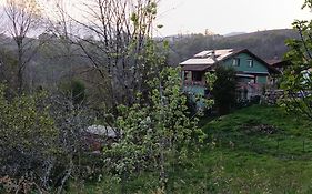 Apartamentos El Puntual